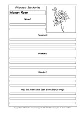Pflanzensteckbriefvorlage-Rose-SW.pdf